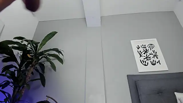 Tylerffoxx online show from April 2026 09:10:02 PM