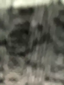 caroline  muller online show from October 2025 10:49:01 AM