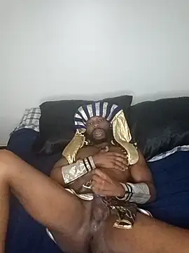 MoonlikePolicy727 online show from November 2025 06:15:02 AM