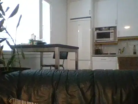 Silverhippo online show from February 2026 07:01:01 AM