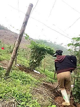 Snapshot of Huong-Ly chatting on March 2026 08:20:01 AM Huong-Ly online show from March 2026 08:20:01 AM