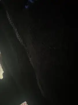 crhong666 online show from January 2026 12:25:01 AM