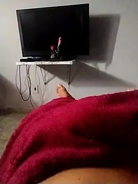 Snapshot of safados015 chatting on October 2025 10:41:01 AM safados015 online show from October 2025 10:41:01 AM