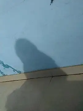 tanishkabby online show from October 2025 05:44:02 PM