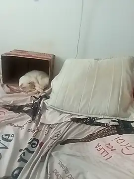 tany90 online show from November 2025 08:20:01 PM