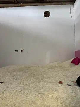 Alexis Spicter online show from December 2025 08:58:01 PM