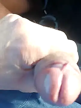 pegaso369 online show from November 2025 12:40:01 PM