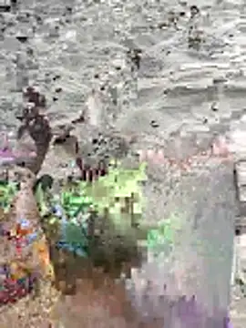 pegaso369 online show from June 2026 02:52:01 PM