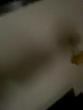 succy33 online show from October 2025 07:41:01 AM