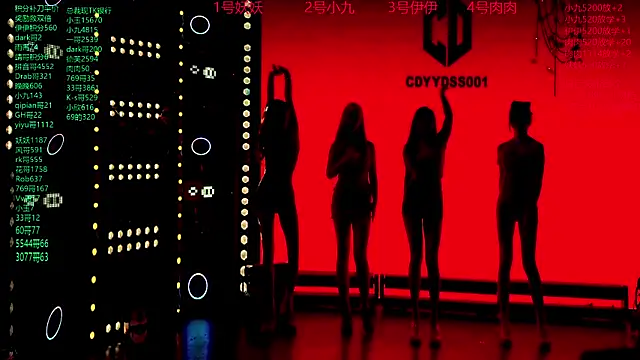 Snapshot of cdyyds001 chatting on November 2025 07:48:02 PM cdyyds001 online show from November 2025 07:48:02 PM