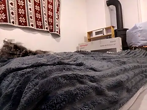 Snapshot of HoneySquirrel chatting on October 2025 05:23:02 PM HoneySquirrel online show from October 2025 05:23:02 PM