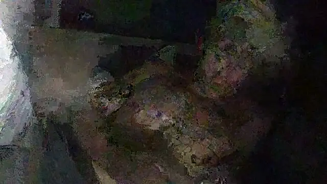 IsAparty online show from October 2025 05:28:01 AM