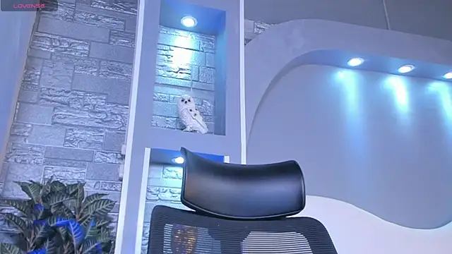dominic de luca online show from April 2026 04:04:01 AM