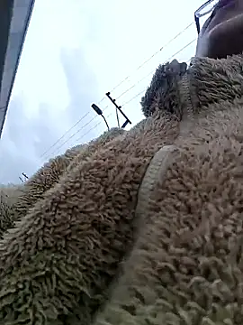 Snapshot of Engeelll chatting on March 2026 06:11:02 PM Engeelll online show from March 2026 06:11:02 PM