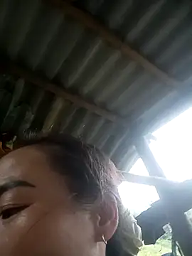 CoMay003 online show from October 2025 09:43:02 AM