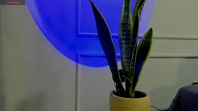 Ice Princess  online show from October 2025 04:41:02 AM