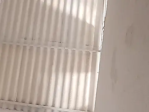 linda luna29 online show from May 2026 06:12:02 PM