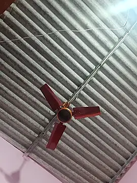 Snapshot of Cute-Swewty chatting on February 2026 04:33:01 PM Cute-Swewty online show from February 2026 04:33:01 PM