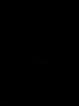 serxxx1287 online show from December 2025 09:09:01 PM