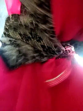 Juhi chawla online show from December 2025 01:59:02 AM