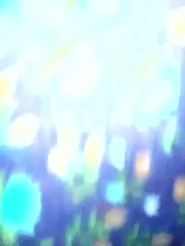 Juhi chawla online show from December 2025 05:03:02 AM