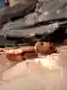 Snapshot of Anonimek942 chatting on November 2025 11:52:01 PM Anonimek942 online show from November 2025 11:52:01 PM