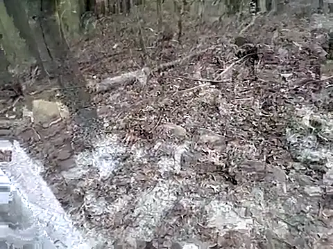 fischnet online show from September 2025 10:55:02 PM