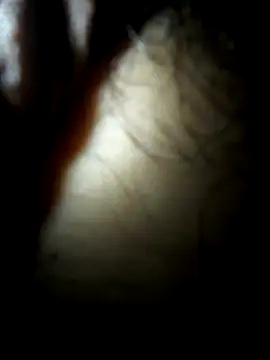 luislimafuego online show from October 2025 10:24:01 AM