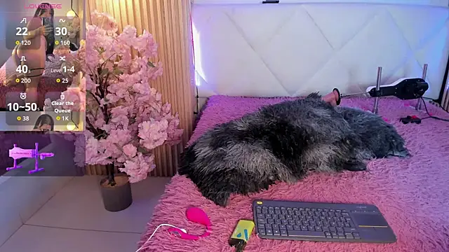 veronica hill  online show from June 2026 03:00:01 AM