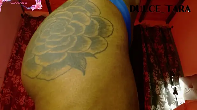 Dulce Tara online show from November 2025 11:52:01 PM