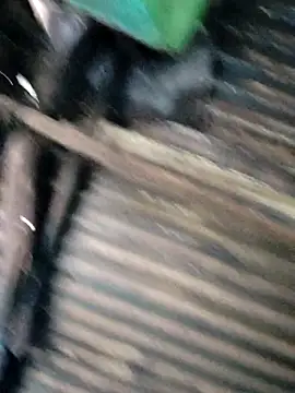 Hot-ilaiy online show from December 2025 03:36:01 AM