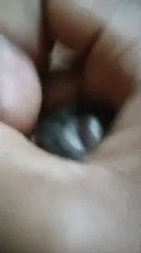 Vizgeboys online show from December 2025 06:03:02 PM