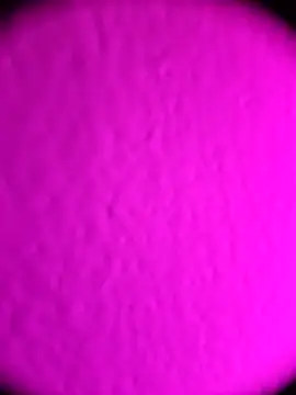 Snapshot of Michou02xXx chatting on February 2026 04:52:01 AM Michou02xXx online show from February 2026 04:52:01 AM