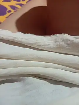 NoHA 66 online show from November 2025 06:27:01 AM