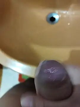 dpcemel online show from October 2025 05:01:01 PM