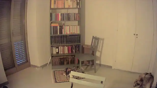 Mrkurt86 online show from October 2025 04:02:02 PM