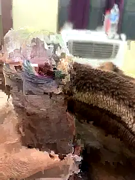 Snapshot of its_Surya_BBC chatting on November 2025 12:40:01 PM its Surya BBC online show from November 2025 12:40:01 PM