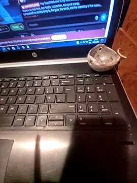 Snapshot of Lawrence067 chatting on March 2026 07:41:02 PM Lawrence067 online show from March 2026 07:41:02 PM