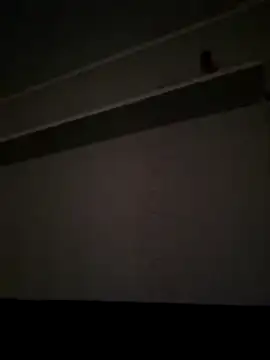 NibbleSweetie online show from December 2025 08:47:02 PM