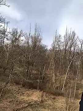 Snapshot of kot766 chatting on March 2026 12:22:01 PM kot766 online show from March 2026 12:22:01 PM