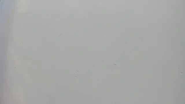 Saammy 17 online show from September 2025 08:23:02 PM