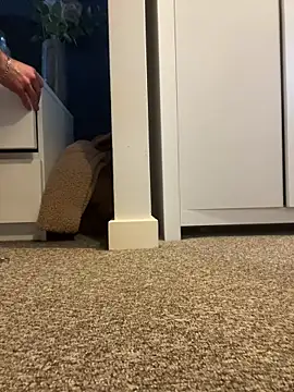 anonymousplease online show from November 2025 10:45:02 AM