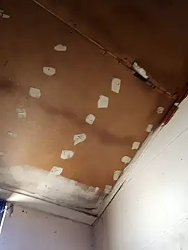 Snapshot of lucho2328 chatting on November 2025 07:47:02 PM lucho2328 online show from November 2025 07:47:02 PM