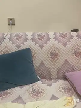 Snapshot of Mier-cn chatting on October 2025 03:22:02 PM Mier-cn online show from October 2025 03:22:02 PM