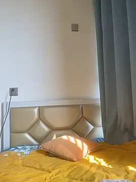 Snapshot of Mier-cn chatting on October 2025 02:33:01 AM Mier-cn online show from October 2025 02:33:01 AM