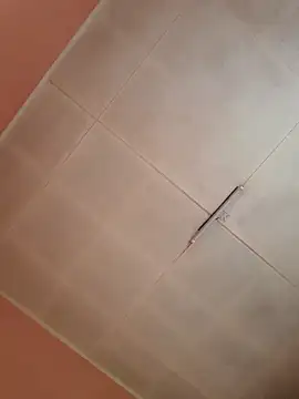 Karamelsaus online show from October 2025 05:54:02 PM