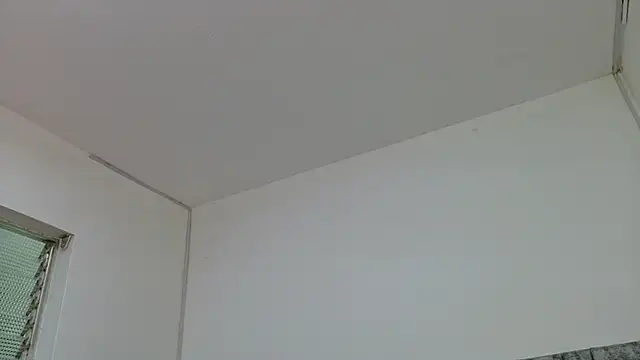 Lizbeth Rouse online show from October 2025 12:25:02 PM