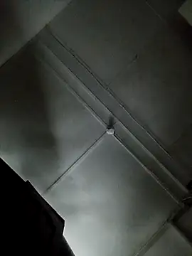 Snapshot of pablowalad chatting on October 2025 09:15:02 PM pablowalad online show from October 2025 09:15:02 PM