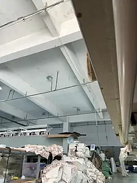 coco-o online show from September 2025 01:29:01 AM