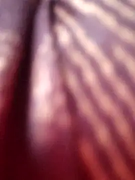 Tamilreethu online show from October 2025 08:45:01 AM